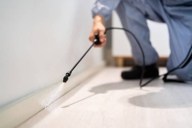 Licensed Termite Control service in Country Club, FL - Nex Pest Control