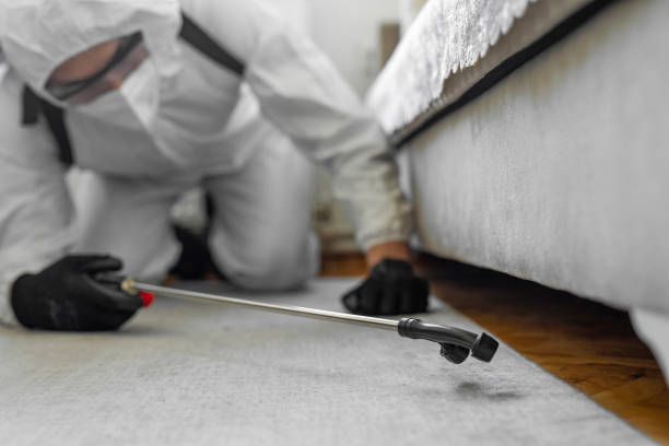 Professional Termite Control technician working in Country Club, FL
