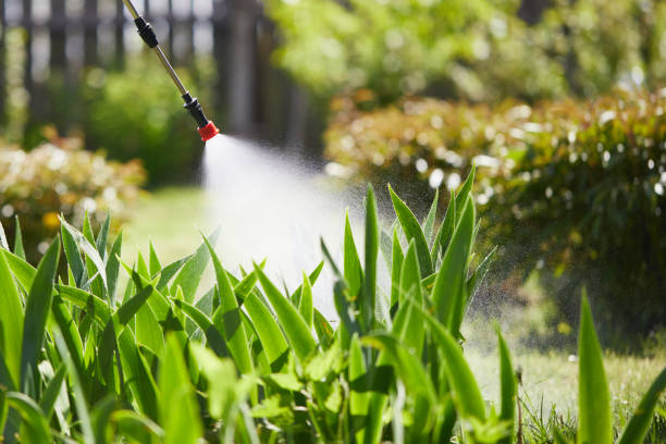 24/7 Emergency Termite Control experts in Country Club, FL