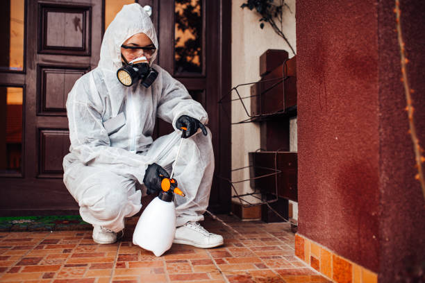 Reliable Termite Control contractor in Country Club, FL by Nex Pest Control